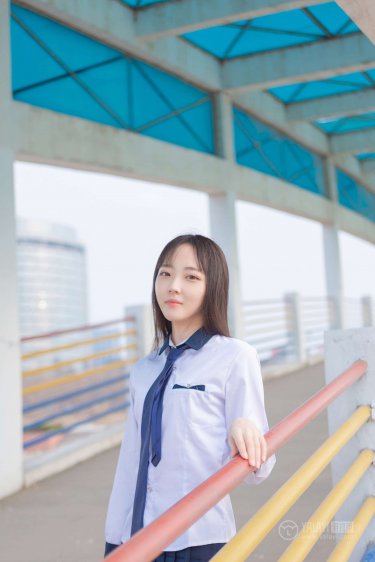 公又大又硬又