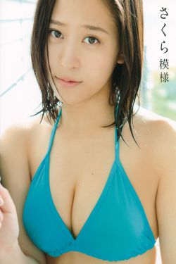 金银花露TXT小说